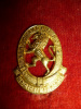 9th Light Horse Collar Badge